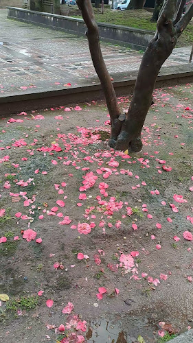 APE Coffee - Gastronomia e hotelaria