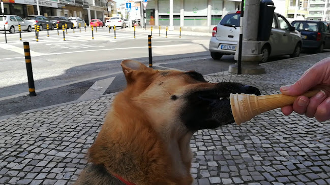 Av. do Cristo Rei 5A, 2800-052 Almada