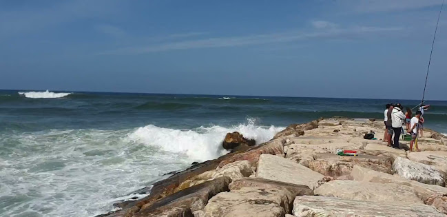 Opinii despre Pôr Do Sol - Restaurante-Bar Sunset în Figueira da Foz - Gastronomia e hotelaria