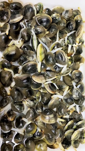 Ristorante Ernesto - Vila Real de Santo António