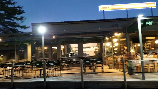 Comentarii opinii despre Aqui Há Gato