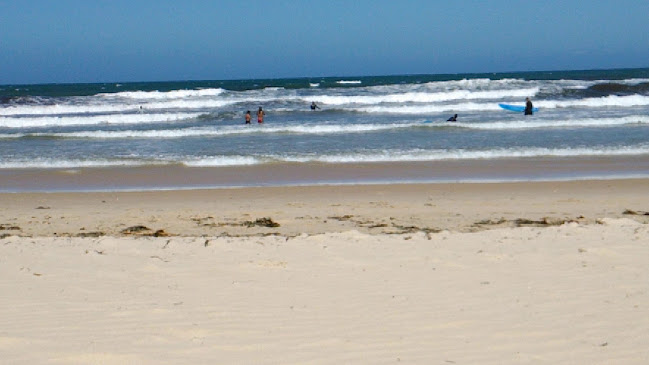 Café Central Food&Drinks - Ferrel