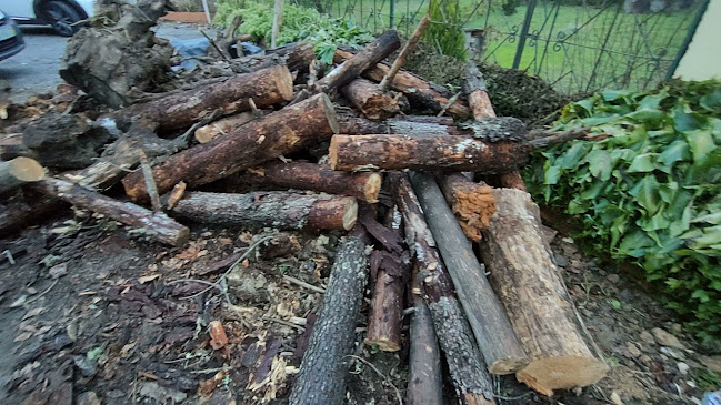 Café Brasil - Gastronomia e hotelaria