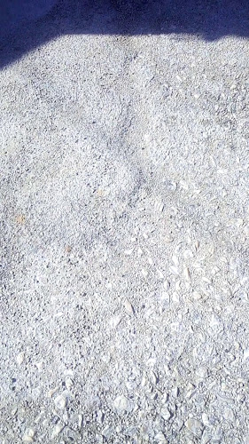 Café do Zé - Tomar