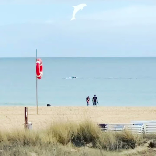 Meia Praia, 8600-671 Lagos