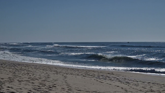 Sétimo Ano de Praia Beach CLUB - Gastronomia e hotelaria