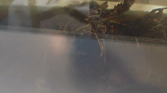 Marisqueira do Bairro - Gastronomia e hotelaria