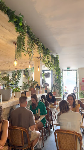 Comentarii opinii despre Fauna & Flora