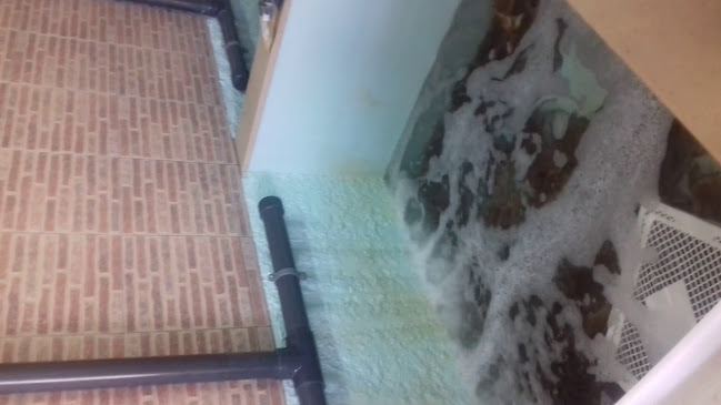 R. dos Cortiçais 412, Peniche