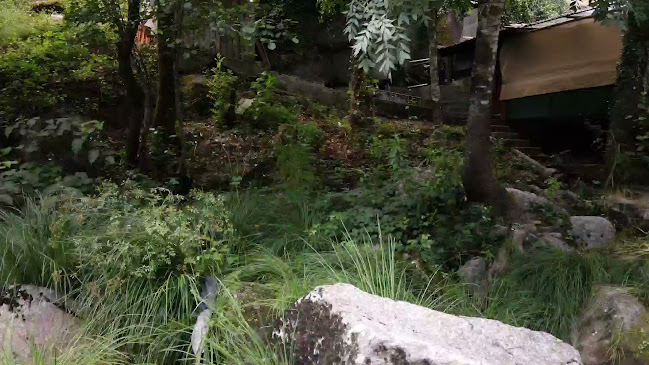 Comentarii opinii despre Moinhos da Lomba Adega Regional