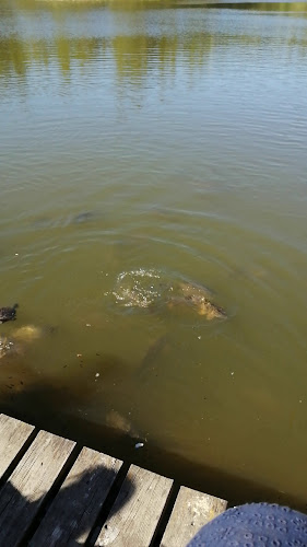 Opinii despre Retiro Do Caçador în Arruda dos Vinhos - Gastronomia e hotelaria