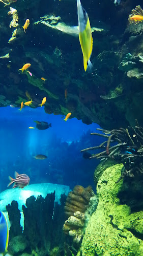 Edifício Lisboa, Fração B e C, 1990-225 Lisboa