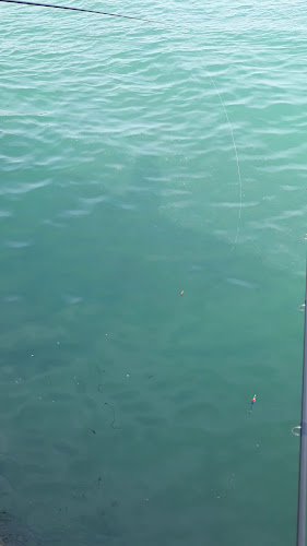 Portinho de Areia - Gastronomia e hotelaria