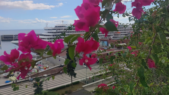 Comentarii opinii despre Santa Catarina Café