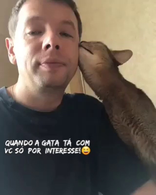 Brick Lisboa - Gastronomia e hotelaria