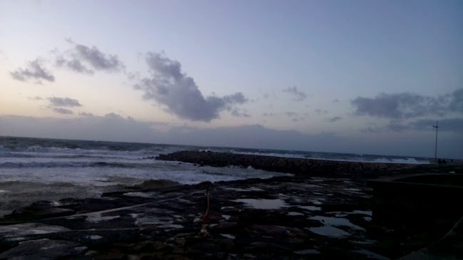 Comentarii opinii despre Restaurante O Tasco