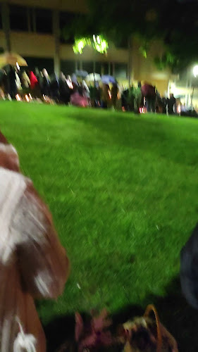 Opinii despre Restaurante Casa Dos Frangos în Montijo - Gastronomia e hotelaria