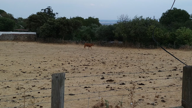 Opinii despre Restaurante Varchotel Dom Januário în Elvas - Gastronomia e hotelaria