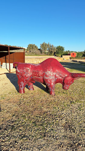 Quinta Dos Vales - Wine Estate - Gastronomia e hotelaria