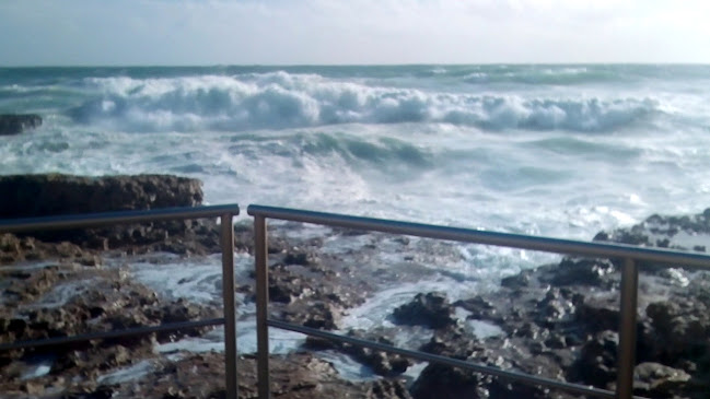 Comentarii opinii despre A Pastorinha