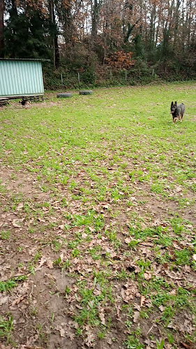Café Lércio - Prato do dia e Snacks - Santa Maria da Feira