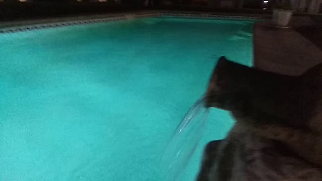 Cristina - Gastronomia e hotelaria