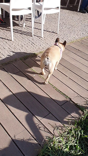 Comentarii opinii despre Lago dos Maninhos