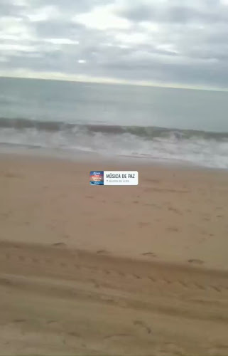 Comentarii opinii despre Snack-Bar O Pinheiro