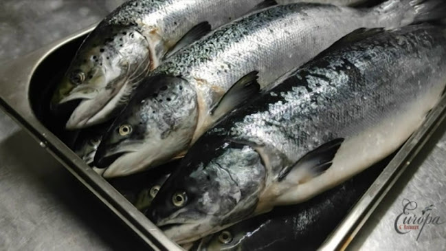 Comentarii opinii despre Restaurante Europa - Prato do dia