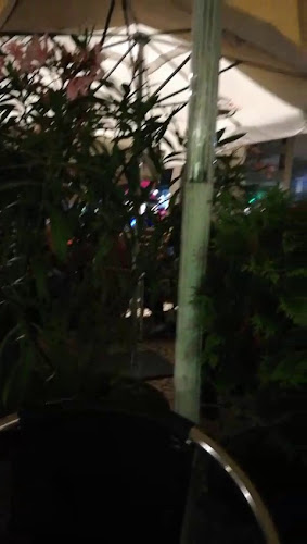 Baco & tu - Barreiro