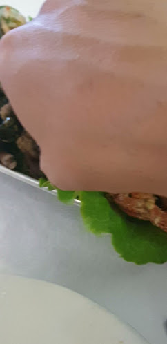 Restaurante Apuliense - Gastronomia e hotelaria