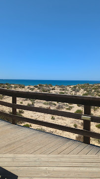 The Bold Octopus - Almancil