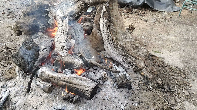 Comentarii opinii despre Café Brasil