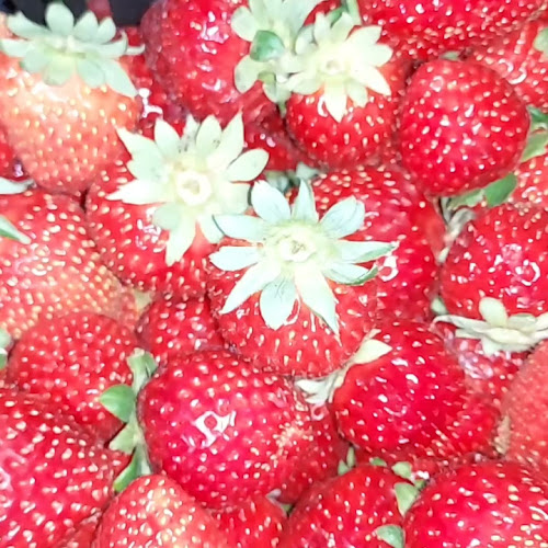 Opinii despre Crema di Gelato Lagos, Gelateria e Sorbetteria în Lagos - Gastronomia e hotelaria