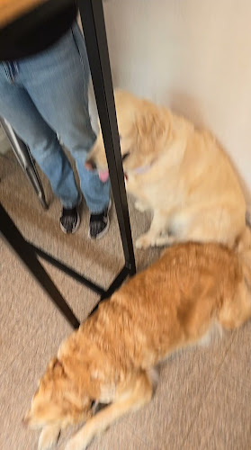 Opinii despre Møka Coffee Shop în Matosinhos - Gastronomia e hotelaria