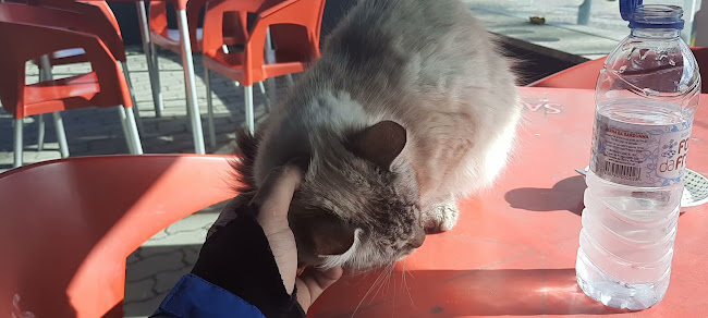 Opinii despre Café O Forno în Santarém - Gastronomia e hotelaria