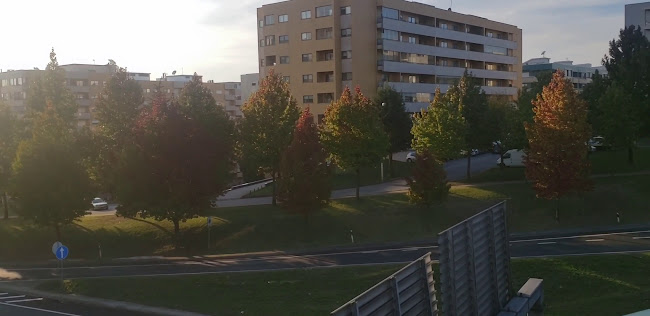 Comentarii opinii despre Taberna Belga