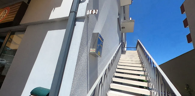 Preguinho on Wheels Paredes - Paredes