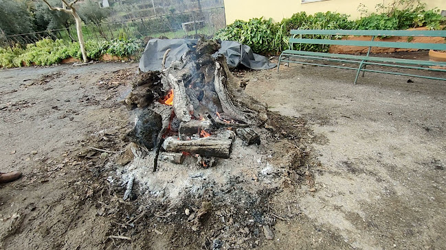 Comentarii opinii despre Café Brasil