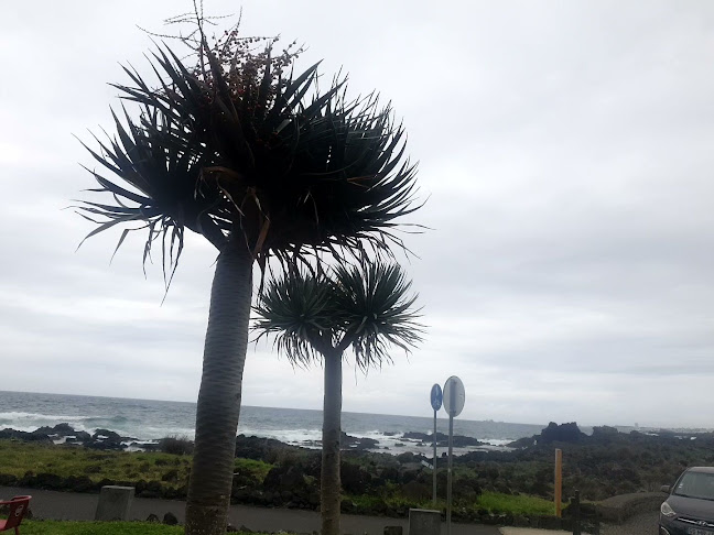 Comments and reviews of Ondas do Mar
