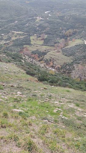 Mirante da Estrela - Gastronomia e hotelaria