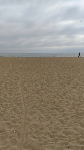 Comentarii opinii despre Ar d'Mar