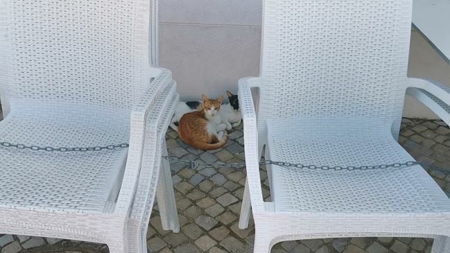 Veganices - Gastronomia e hotelaria