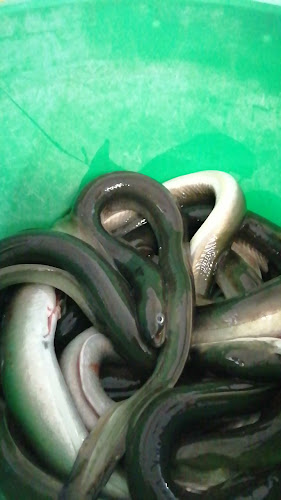 Restaurante Dom Lucas - Santiago do Cacém