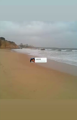 Snack-Bar O Pinheiro