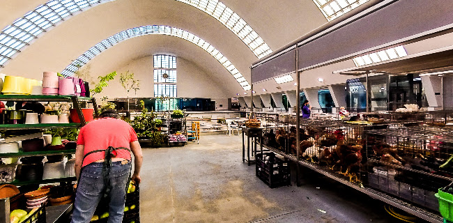 Mercado Municipal de Matosinhos
