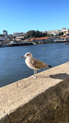 Muralha do Rio - Porto