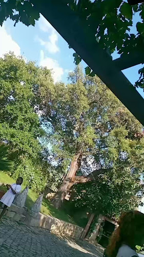 Restaurante Quinta da Dança - Gastronomia e hotelaria