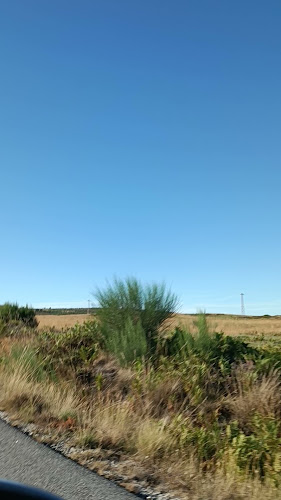 Opinii despre Barca D'Alva în Almada - Gastronomia e hotelaria