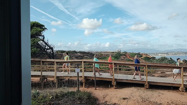 Comentarii opinii despre O Camilo